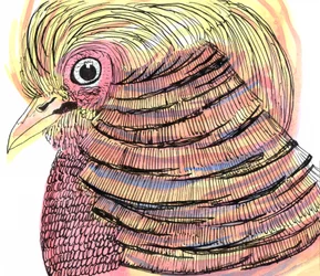 Tropical Bird, 2018 (caneta, tinta e aquarela)