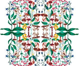 Plantas Selvagens, 2015 acrílico