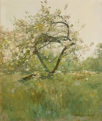 Flores de pêssego, Villiers-le-Bel