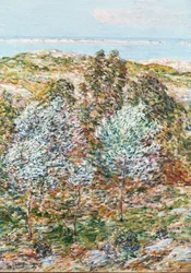 Visão da Primavera