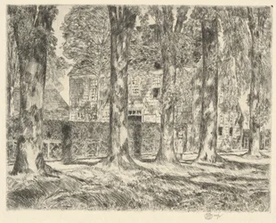 Olmos da aldeia, 1923