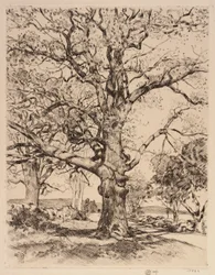 Pousada Wayside Oaks na primavera