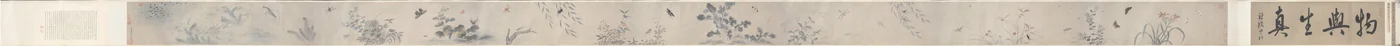 insetos e flores