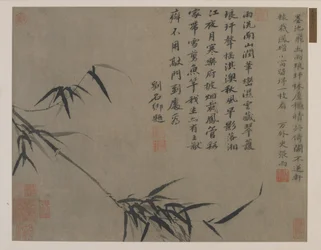 Um spray de bambu, possivelmente dinastia Qing (tinta sobre papel)