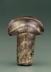 Objeto em forma de haste oval encimada por botão semicircular espesso (serpentina)