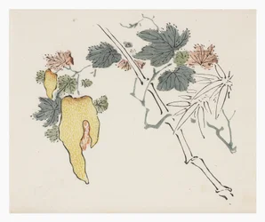 Ten Bamboo Series, século 18