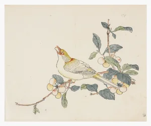 Ten Bamboo Series, século 18