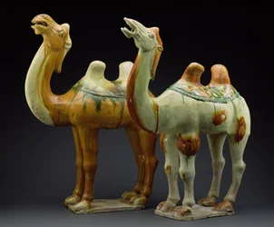 Dois camelos, dinastia de espiga (618-907) (louça de barro vidrada)