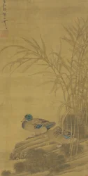 Dois, patos, entre, canas, em, a, águas, borda, Ming, ou, Qing, dinastia, 15º-18º século