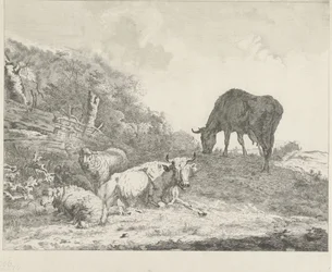 paisagem com gado