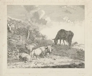 paisagem com gado