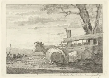 Descansar o gado numa paisagem