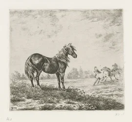 Paisagem com três cavalos