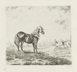 Paisagem com três cavalos
