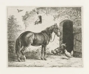 Cavalo com cabresto