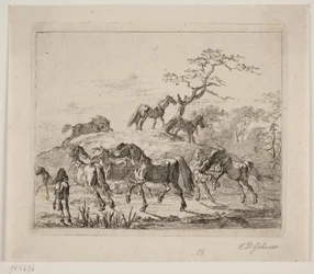 Cavalo de garanhão