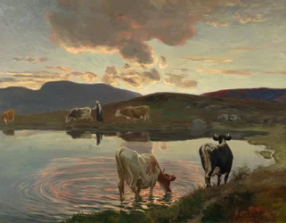 Após o por do sol