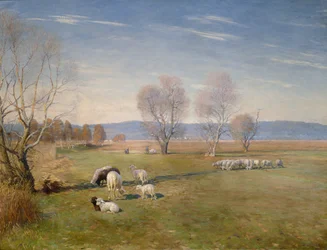 paisagem com ovelhas