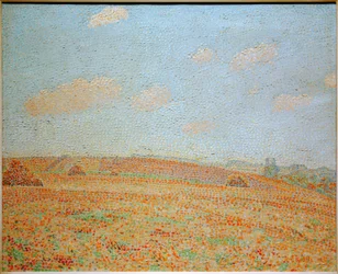 campo