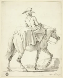 Mulher do mercado a cavalo