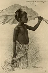 Menino tâmil, Kandy, Ceilão, 1898.