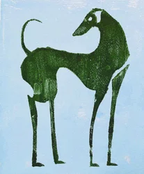 Cão Elegante do Deserto