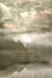 Pássaros sobre o Lago Misty