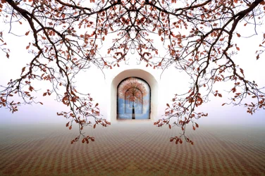 Arco de outono de sonho