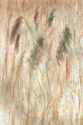 Textura de prado rústico