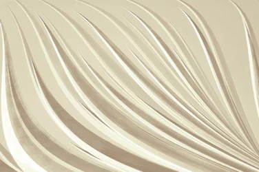 Curvas elegantes e fluidas