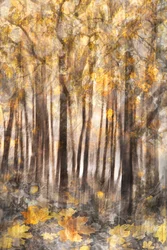 Floresta do Outono Dourado