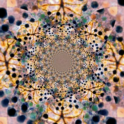 Caleidoscópio orgânico intrincado