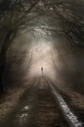 Figura solitária no caminho enevoado