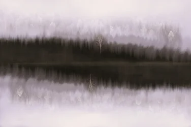 Reflexão sobre o Bétula Envolto em Nevoeiro