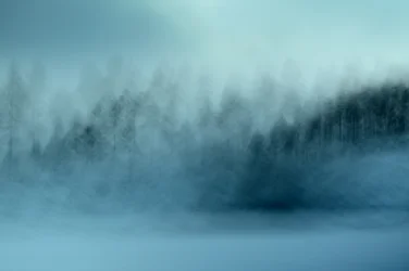 Floresta Azul Enevoada