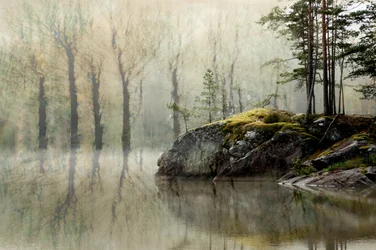 Lago da Floresta Enevoada