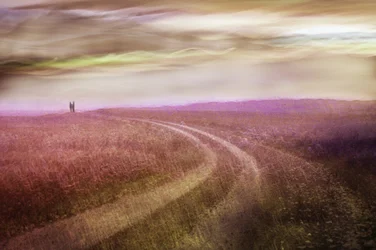 Caminho Romântico pelo Campo