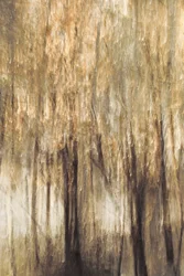Movimento da Floresta Tranquila