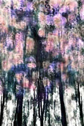 Sonhos da Floresta Vibrante