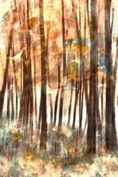 Brilho acolhedor da floresta
