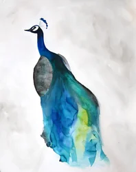 Elegante pavão azul