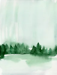 Lago da Floresta Ennevoada