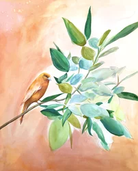Filial Orange Bird