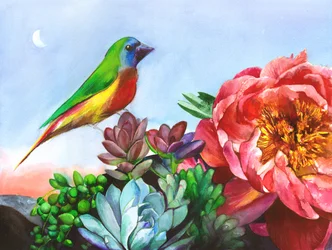 Jardim de peónias «Vibrant Bird»