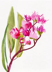 Flores cor-de-rosa vibrantes