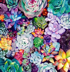 Jardim de suculentas vibrante