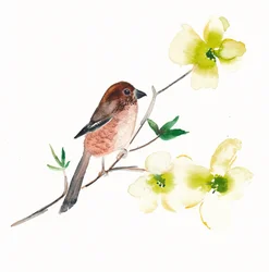 Pássaros e flores em aguarela
