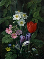 Flores de jardim na primavera (incluindo margaridas, tulipas, narcisos, açafrões e prímulas). Pintura de Christine Marie Lovmand (1803-1872) Coleção particular.