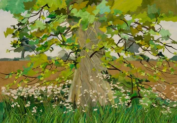 Árvore de Darcy, 2011 (colagem de papel pintado com aguarela)
