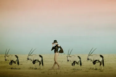 Passeio pelo deserto com o órix
